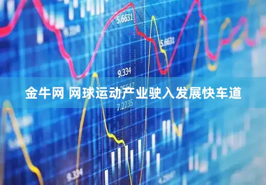 金牛网 网球运动产业驶入发展快车道