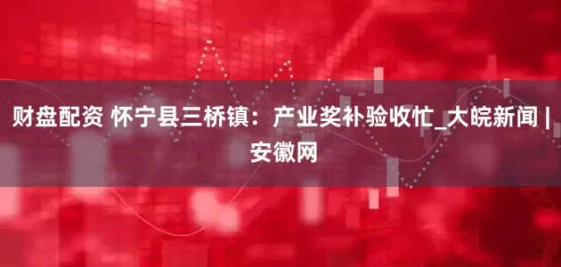 财盘配资 怀宁县三桥镇：产业奖补验收忙_大皖新闻 | 安徽网