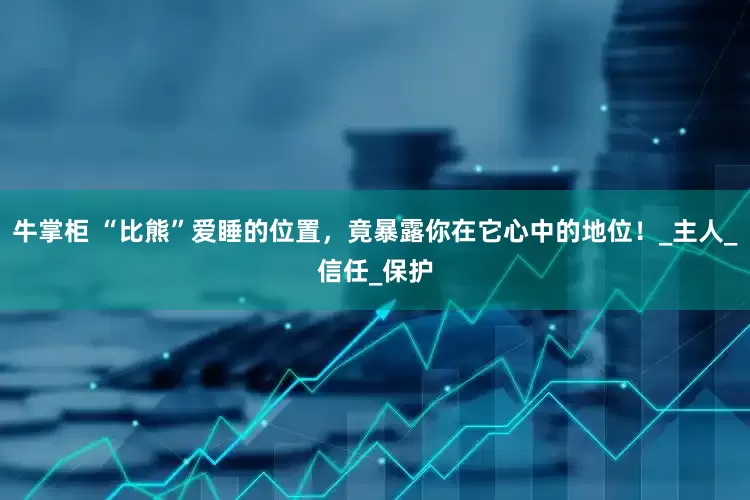 牛掌柜 “比熊”爱睡的位置，竟暴露你在它心中的地位！_主人_信任_保护