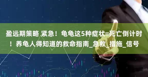盈远期策略 紧急！龟龟这5种症状=死亡倒计时！养龟人得知道的救命指南_急救_措施_信号