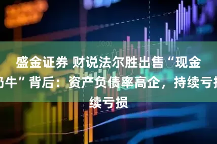 盛金证券 财说法尔胜出售“现金奶牛”背后：资产负债率高企，持续亏损