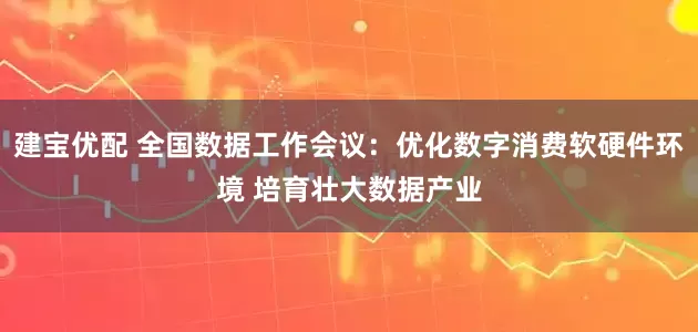 建宝优配 全国数据工作会议：优化数字消费软硬件环境 培育壮大数据产业