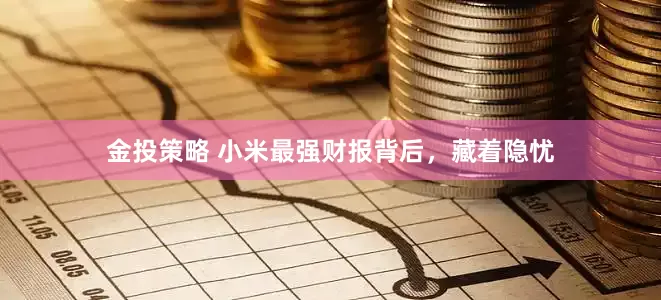 金投策略 小米最强财报背后，藏着隐忧